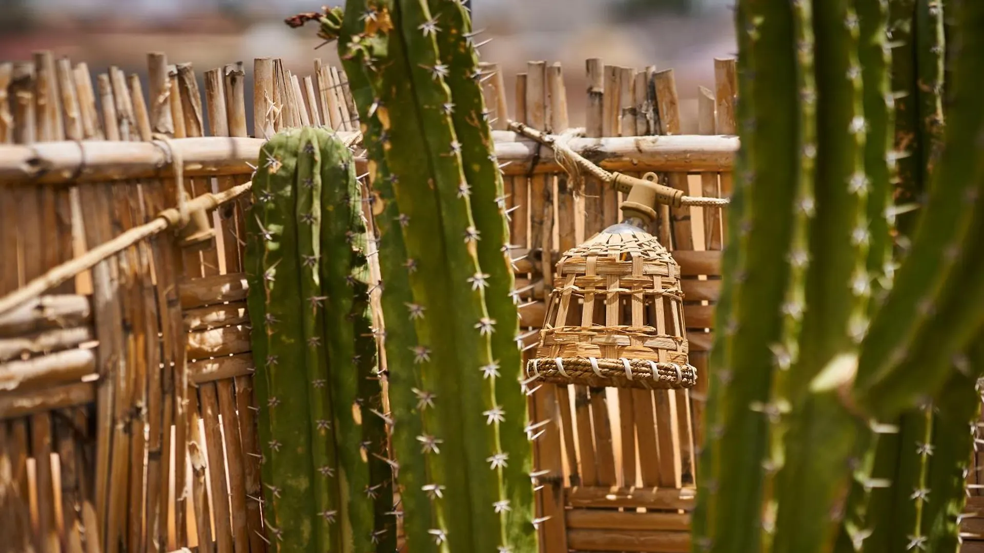 Riad Kbala Marrakesh